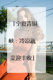 宁夏青铜峡：冷凉蔬菜迎丰收