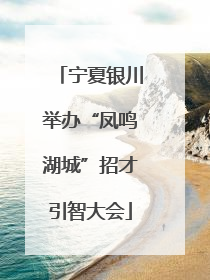 宁夏银川举办“凤鸣湖城”招才引智大会