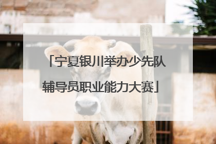 宁夏银川举办少先队辅导员职业能力大赛