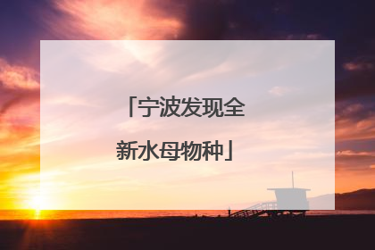 宁波发现全新水母物种