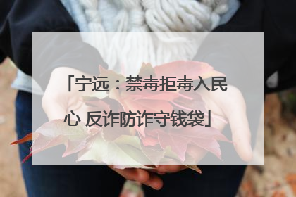 宁远：禁毒拒毒入民心 反诈防诈守钱袋