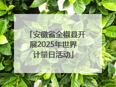 安徽省全椒县开展2025年世界计量日活动