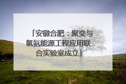 安徽合肥：聚变与氢氨能源工程应用联合实验室成立