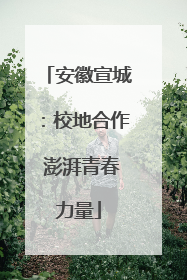 安徽宣城：校地合作 澎湃青春力量