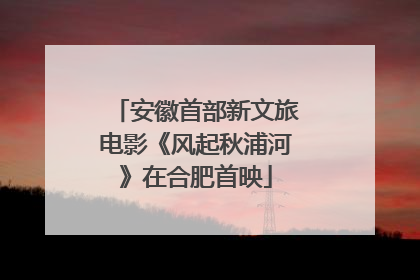 安徽首部新文旅电影《风起秋浦河》在合肥首映