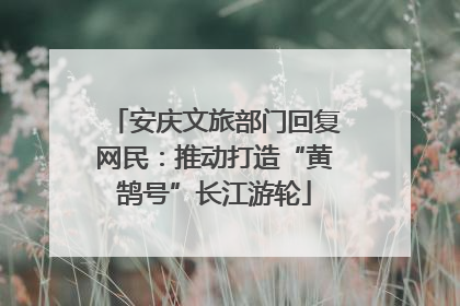 安庆文旅部门回复网民：推动打造“黄鹄号”长江游轮