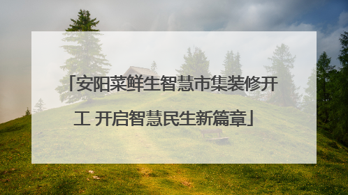 安阳菜鲜生智慧市集装修开工 开启智慧民生新篇章