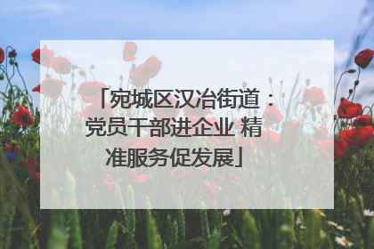 宛城区汉冶街道：党员干部进企业 精准服务促发展