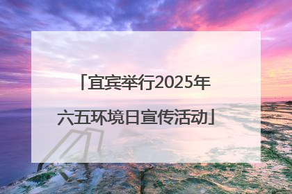 宜宾举行2025年六五环境日宣传活动