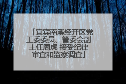 宜宾南溪经开区党工委委员、管委会副主任周虎 接受纪律审查和监察调查