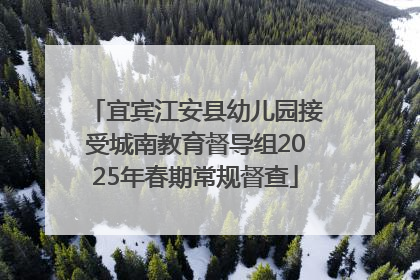 宜宾江安县幼儿园接受城南教育督导组2025年春期常规督查
