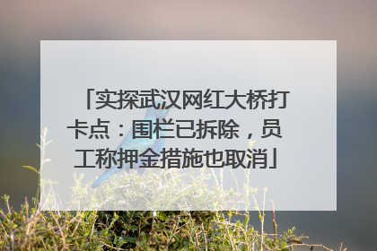 实探武汉网红大桥打卡点：围栏已拆除，员工称押金措施也取消