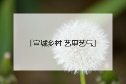 宣城乡村 艺里艺气