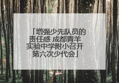 增强少先队员的责任感 成都青羊实验中学附小召开第六次少代会