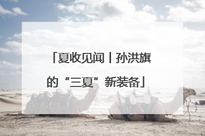 夏收见闻丨孙洪旗的“三夏”新装备