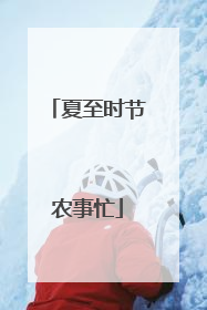 夏至时节农事忙