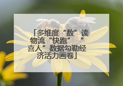 多维度“数”读物流“快跑” “喜人”数据勾勒经济活力画卷