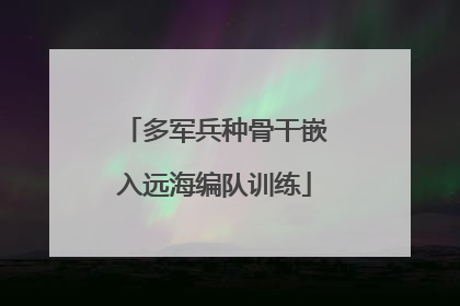 多军兵种骨干嵌入远海编队训练