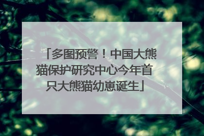 多图预警！中国大熊猫保护研究中心今年首只大熊猫幼崽诞生