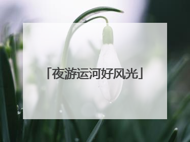 夜游运河好风光