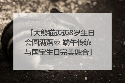 大熊猫迈迈8岁生日会圆满落幕 端午传统与国宝生日完美融合