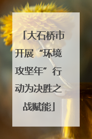 大石桥市开展“环境攻坚年”行动为决胜之战赋能