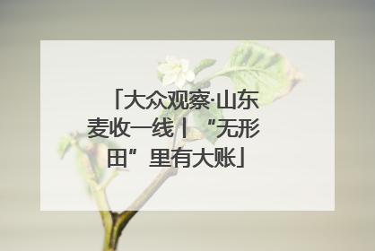 大众观察·山东麦收一线丨“无形田”里有大账