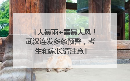 大暴雨+雷暴大风！武汉连发多条预警，考生和家长请注意