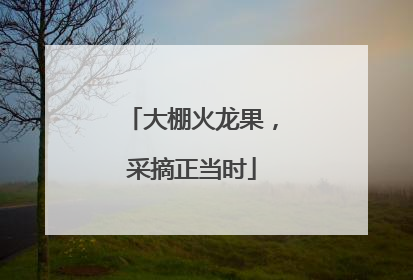 大棚火龙果，采摘正当时