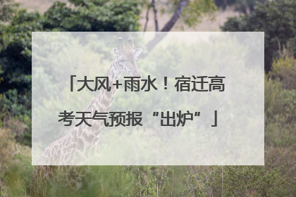 大风+雨水！宿迁高考天气预报“出炉”