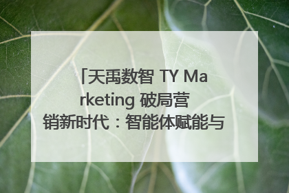 天禹数智 TY Marketing 破局营销新时代：智能体赋能与人才培育双轮驱动