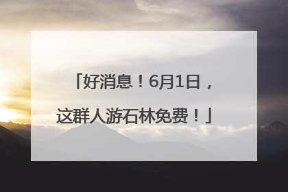 好消息!6月1日,这群人游石林免费!