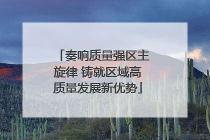 奏响质量强区主旋律 铸就区域高质量发展新优势