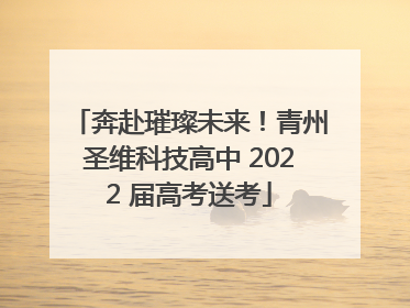 奔赴璀璨未来！青州圣维科技高中 2022 届高考送考