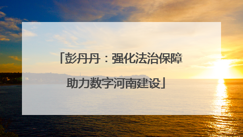 彭丹丹：强化法治保障 助力数字河南建设