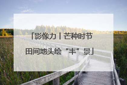 影像力丨芒种时节 田间地头绘“丰”景