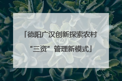 德阳广汉创新探索农村“三资”管理新模式