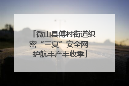 微山县傅村街道织密“三夏”安全网 护航丰产丰收季