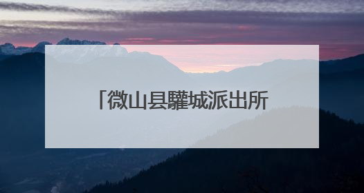 微山县驩城派出所开展夏季夜查行动