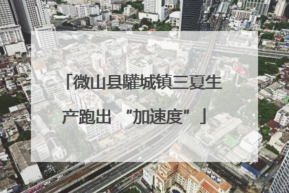 微山县驩城镇三夏生产跑出 “加速度”