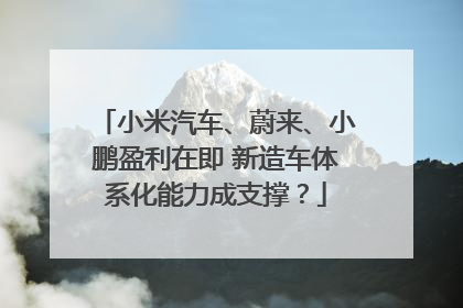 小米汽车、蔚来、小鹏盈利在即 新造车体系化能力成支撑？