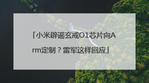 小米辟谣玄戒O1芯片向Arm定制？雷军这样回应