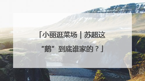 小丽逛菜场｜苏超这“鹅”到底谁家的？