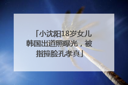 小沈阳18岁女儿韩国出道照曝光，被指撞脸孔孝真