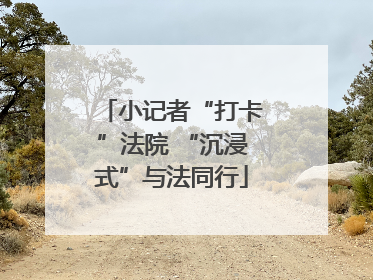 小记者“打卡”法院 “沉浸式”与法同行