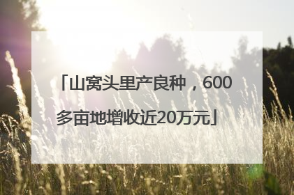 山窝头里产良种，600多亩地增收近20万元
