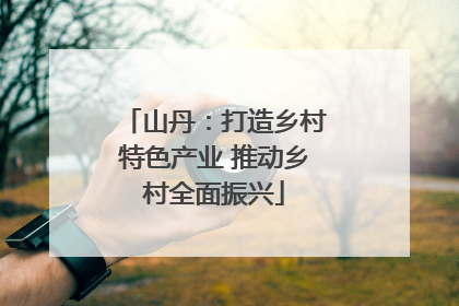 山丹：打造乡村特色产业 推动乡村全面振兴