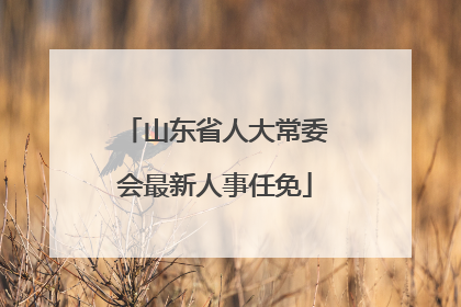 山东省人大常委会最新人事任免