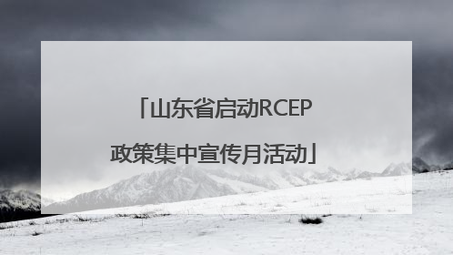 山东省启动RCEP政策集中宣传月活动