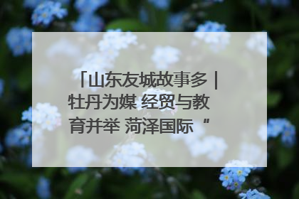山东友城故事多｜牡丹为媒 经贸与教育并举 菏泽国际“朋友圈”扩容升级